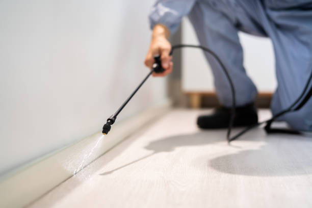 Licensed Pest Control service in Ada, OH - Show Me Pest Control