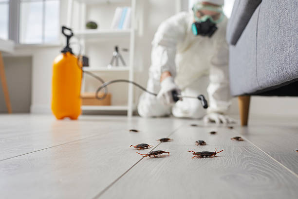 Post-Treatment Bed Bug Interceptor Monitoring in Ada